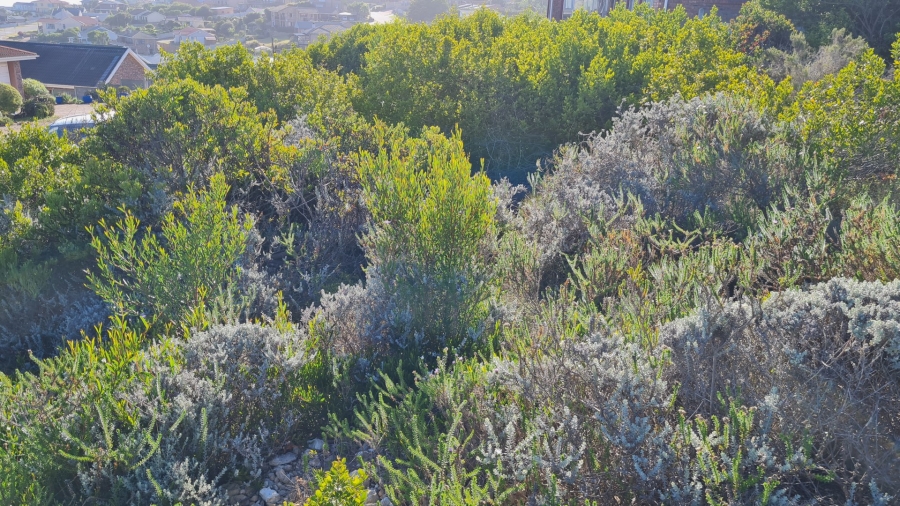 Commercial Property for Sale in Dana Bay Western Cape